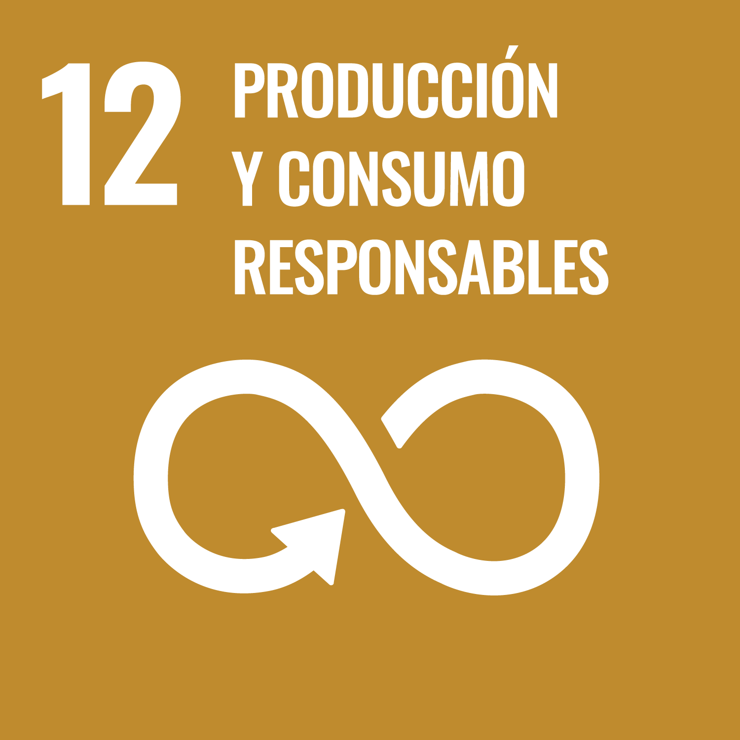 ODS 12 · Producción y consumo responsables