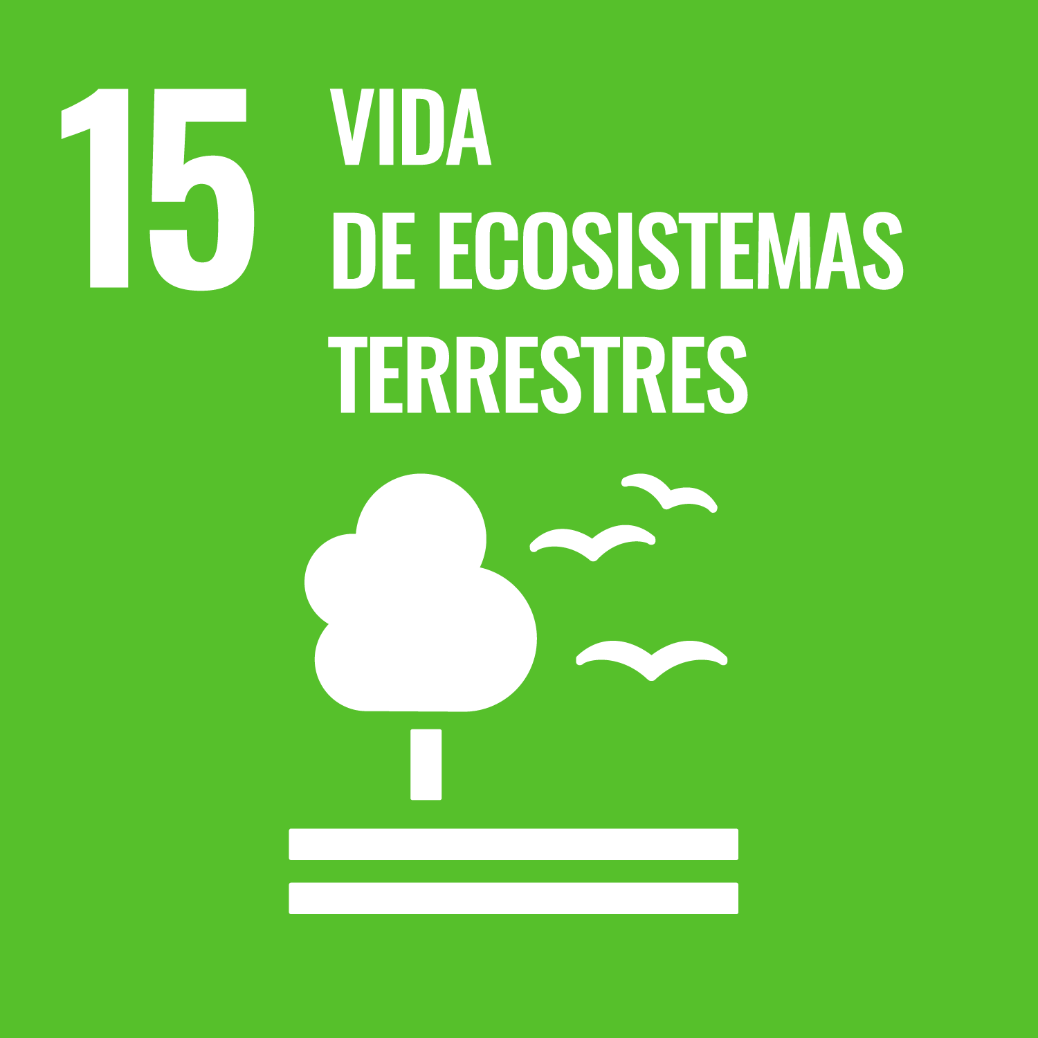 ODS 15 · Vida de ecosistemas terrestres